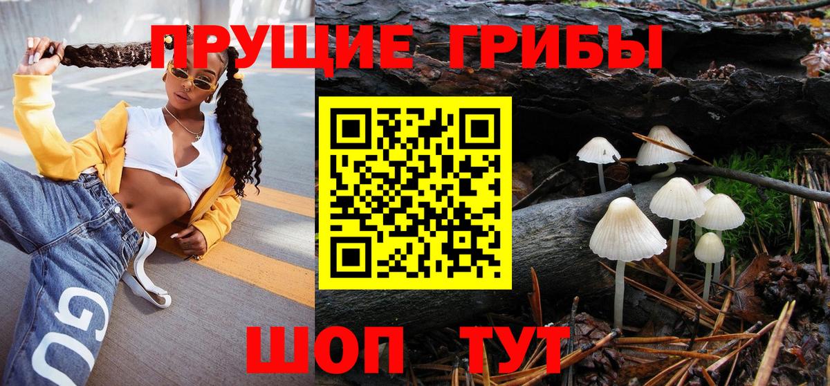 Галлюциногенные грибы прущие грибы Курчатов