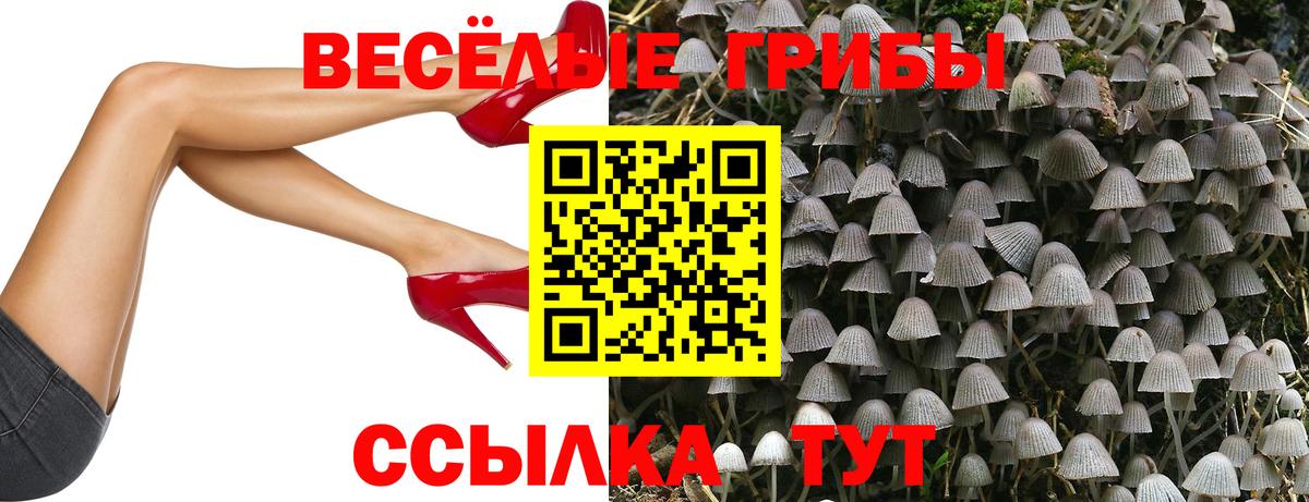 ГАШИШ  Курчатов  Мефедрон  Вход с VPN  КОКАИН  МДМА  МЕФ кристаллы  Где купить  Бошки Шишки  COCAIN  Гашиш 